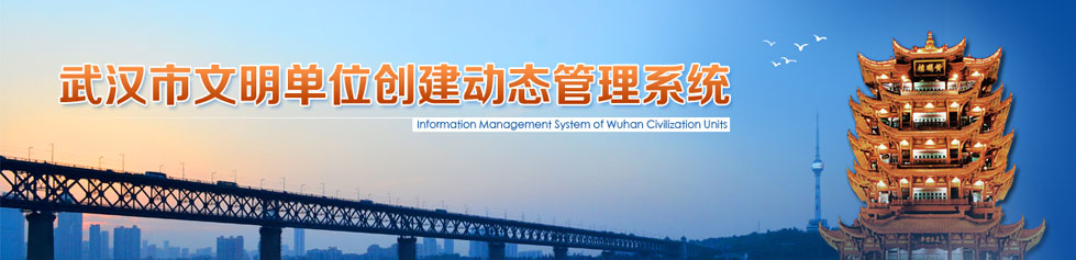 武汉市文明创建动态管理系统